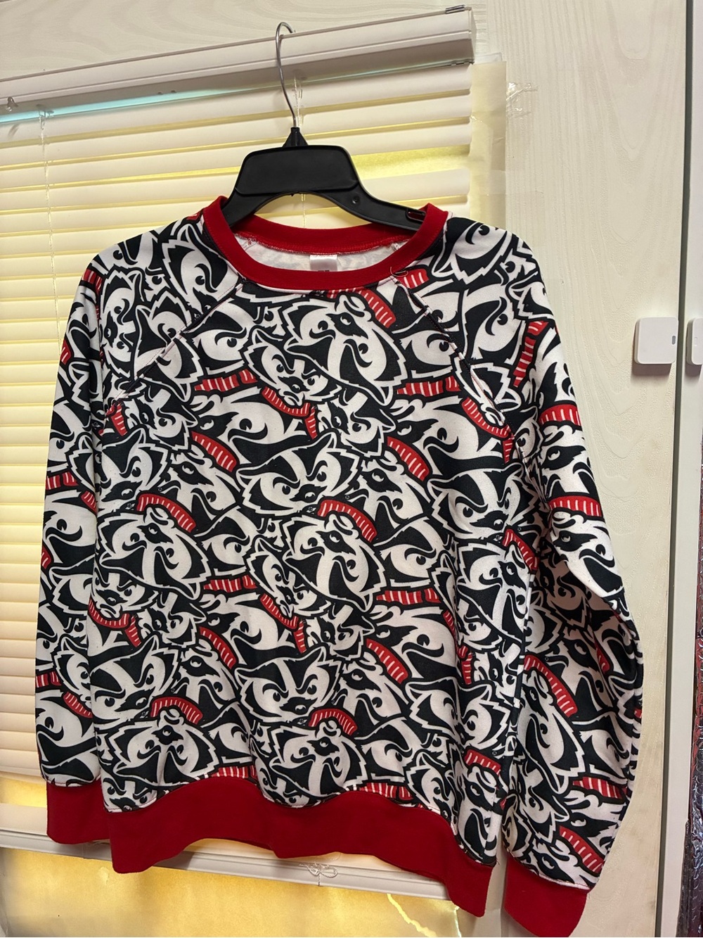 Women’s Wisconsin Bucky Badger Graphic Sweatshirt
